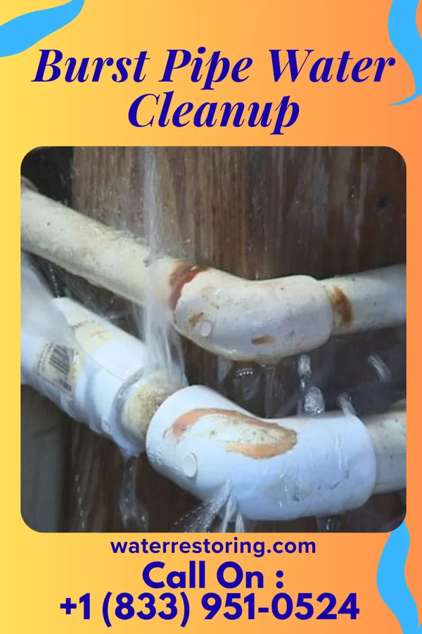 Burst Pipe Water Cleanup in Highland Beach, MD