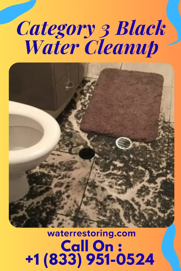 Category 3 Black Water Cleanup in Highland Beach, MD