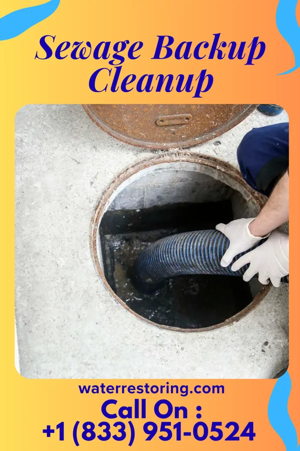 Sewage Backup Cleanup in Highland Beach, MD